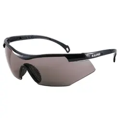 Oculos de Segurança Paraty Cinza KALIPSO CA 20030